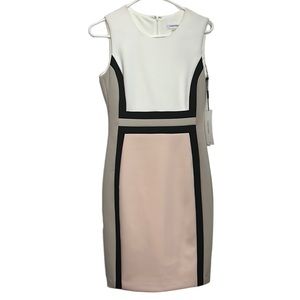 Calvin Klein sheath pink white business casual womens size 4